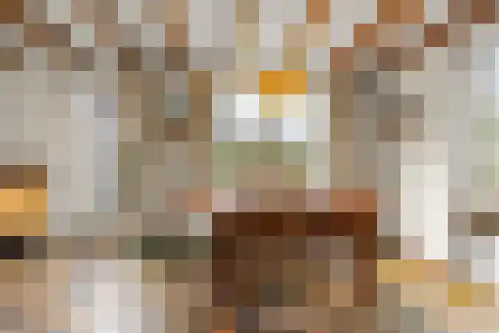 Tromplaan 19 Velp thumbnail 20