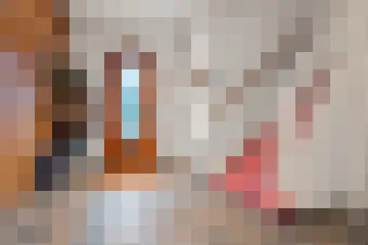 Tromplaan 19 Velp thumbnail 24
