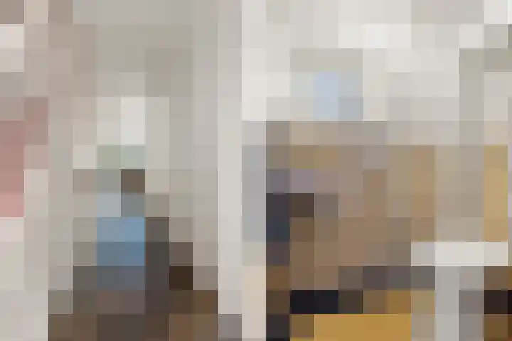 Tromplaan 19 Velp thumbnail 25