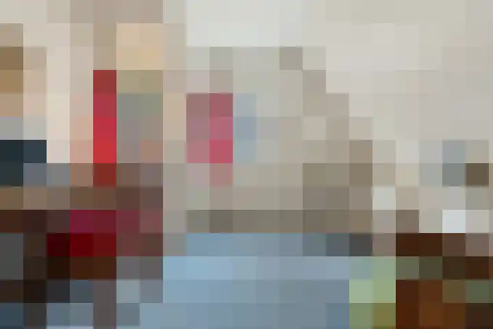 Tromplaan 19 Velp thumbnail 28