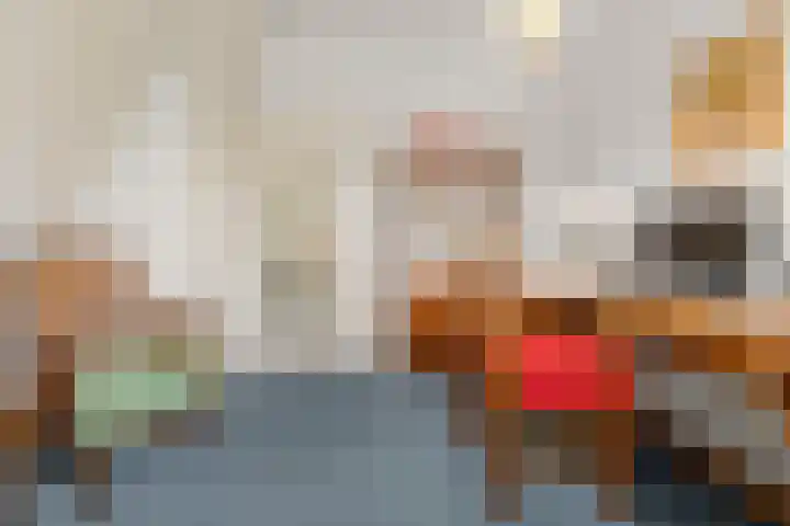 Tromplaan 19 Velp thumbnail 29