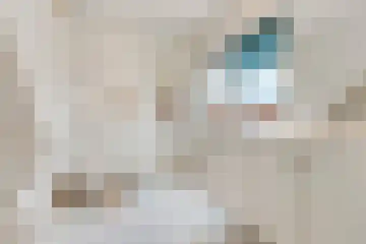 Tromplaan 19 Velp thumbnail 32