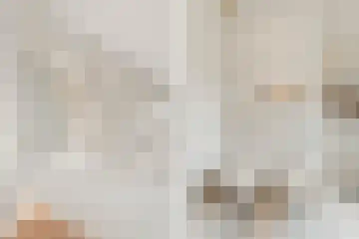Tromplaan 19 Velp thumbnail 34