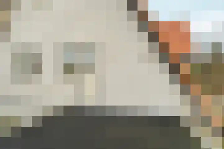 Tromplaan 19 Velp thumbnail 36