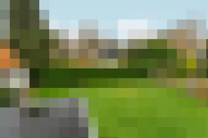Tromplaan 19 Velp thumbnail 37