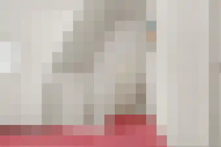 Tromplaan 19 Velp thumbnail 39