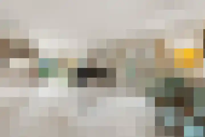 Tromplaan 19 Velp thumbnail 4