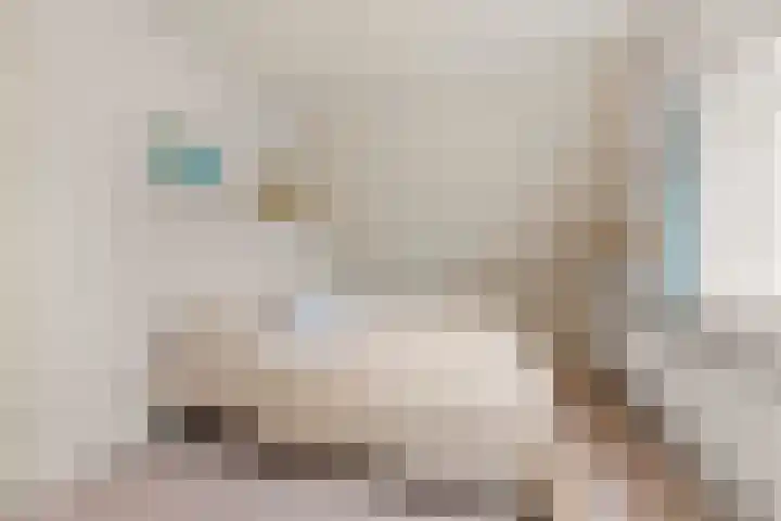 Tromplaan 19 Velp thumbnail 46