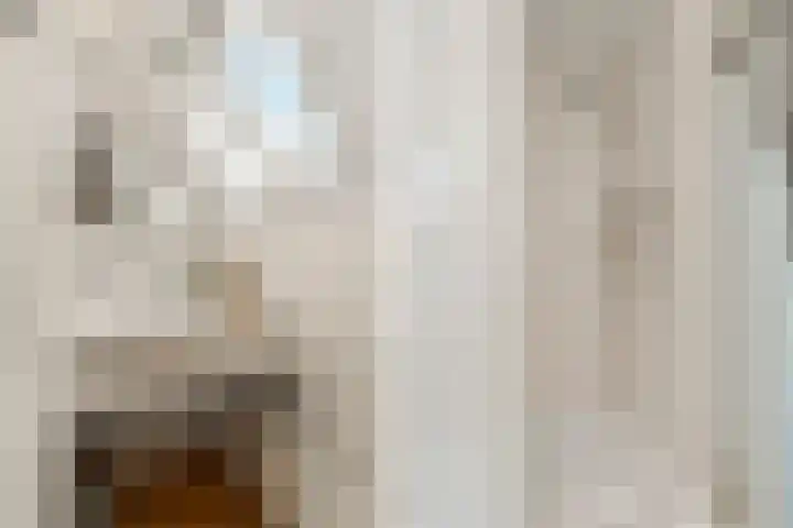 Tromplaan 19 Velp thumbnail 49