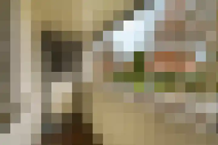 Tromplaan 19 Velp thumbnail 52