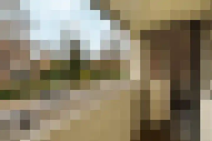 Tromplaan 19 Velp thumbnail 53