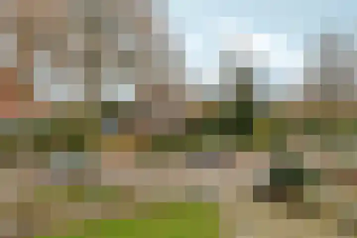 Tromplaan 19 Velp thumbnail 54