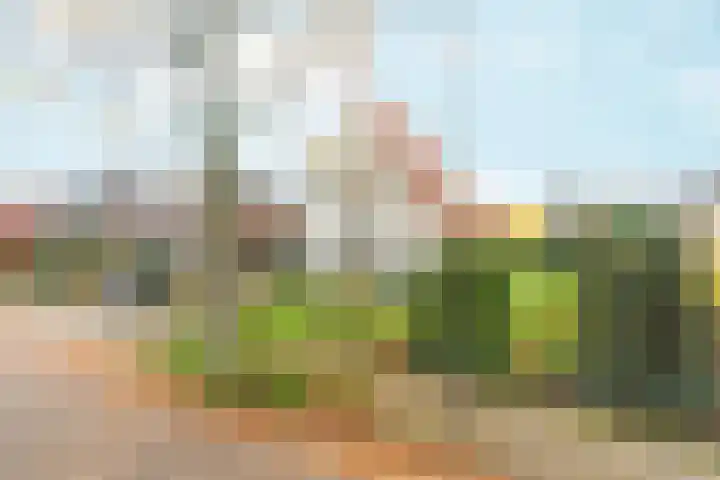 Tromplaan 19 Velp thumbnail 60