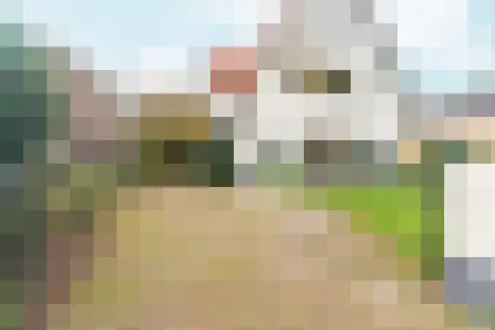 Tromplaan 19 Velp thumbnail 61