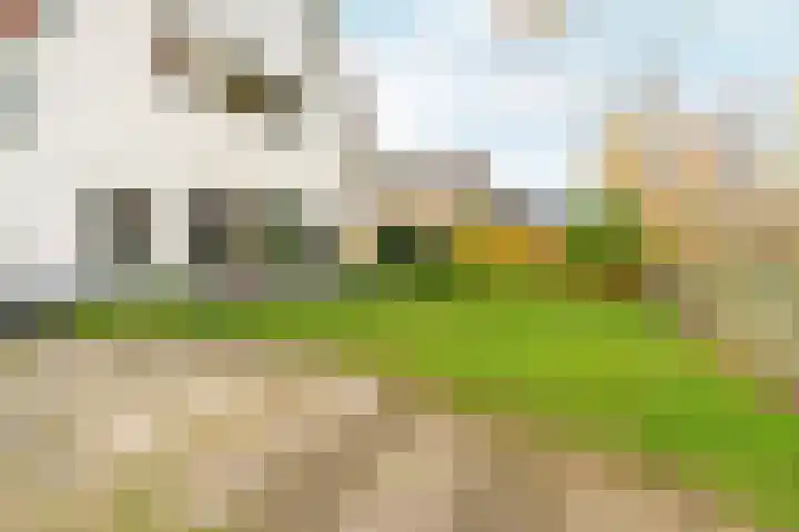 Tromplaan 19 Velp thumbnail 62