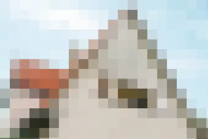 Tromplaan 19 Velp thumbnail 63