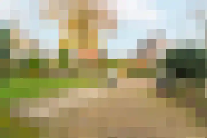 Tromplaan 19 Velp thumbnail 65
