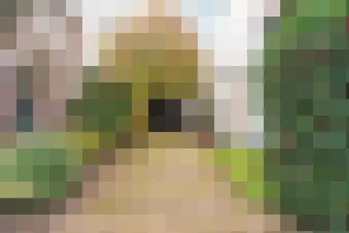 Tromplaan 19 Velp thumbnail 66