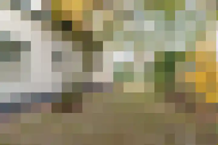Tromplaan 19 Velp thumbnail 69