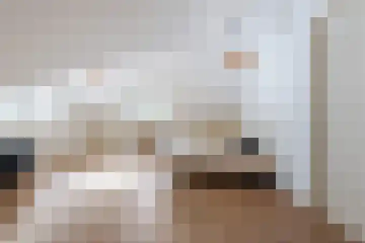 Tromplaan 19 Velp thumbnail 7
