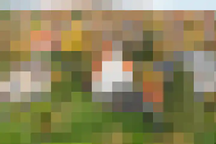 Tromplaan 19 Velp thumbnail 7