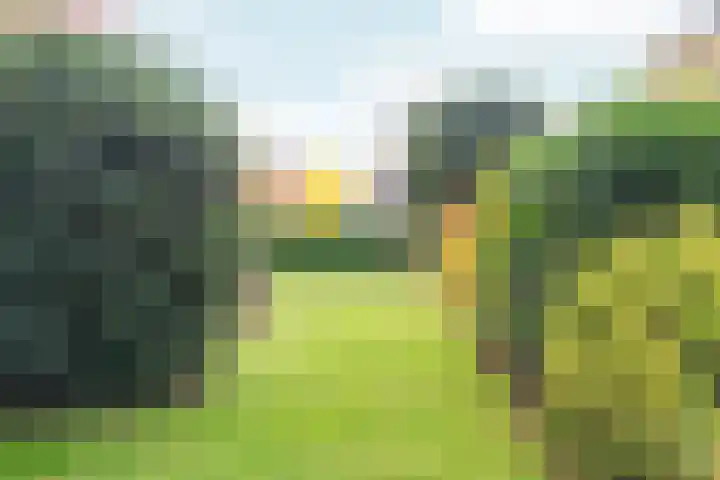 Tromplaan 19 Velp thumbnail 71