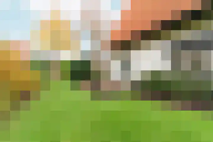 Tromplaan 19 Velp thumbnail 73