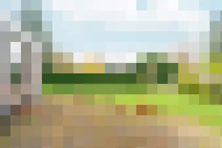 Tromplaan 19 Velp thumbnail 75