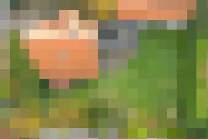 Tromplaan 19 Velp thumbnail 8