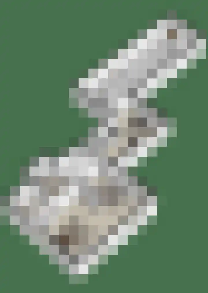 Tromplaan 19 Velp thumbnail 83