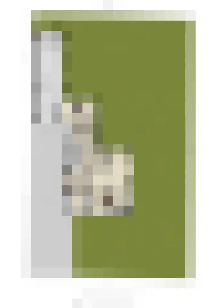 Tromplaan 19 Velp thumbnail 85