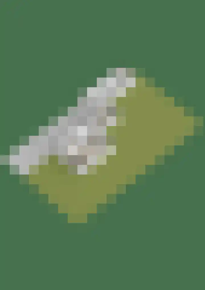 Tromplaan 19 Velp thumbnail 86