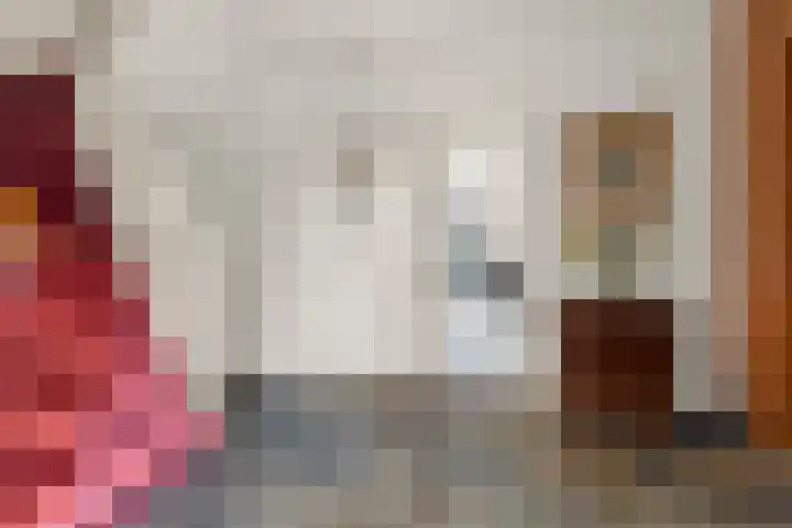 Tromplaan 19 Velp thumbnail 9