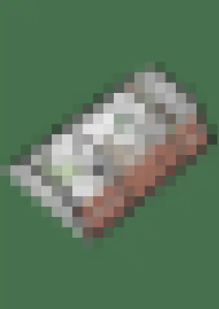Tromplaan 19 Velp thumbnail 91