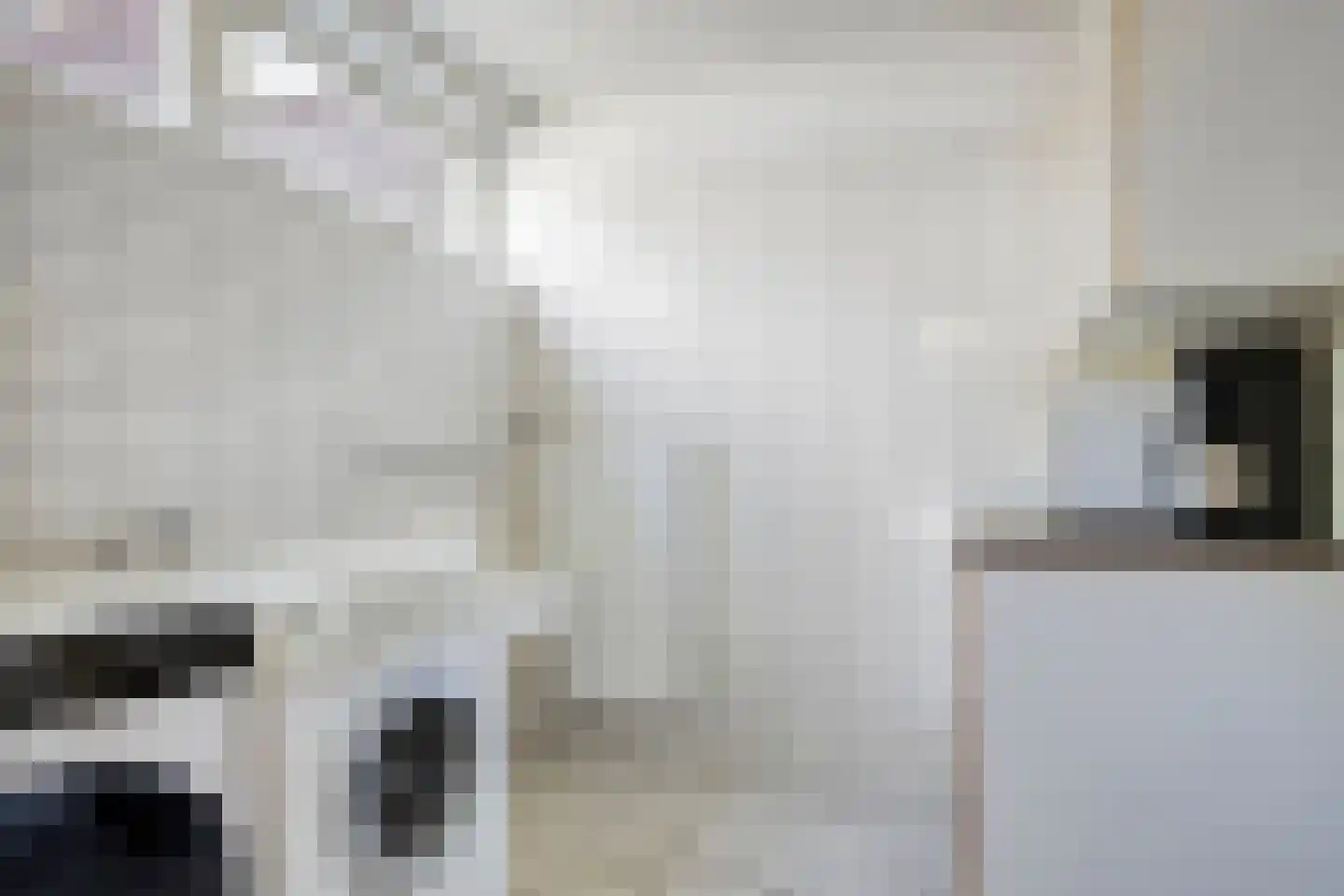 Tromplaan 2 Velp thumbnail 11
