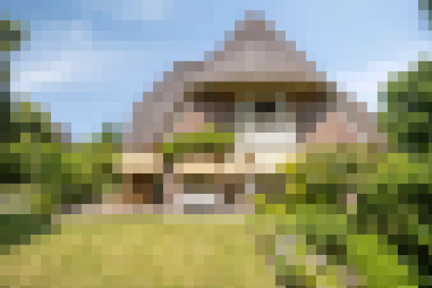 Tromplaan 2 Velp thumbnail 12