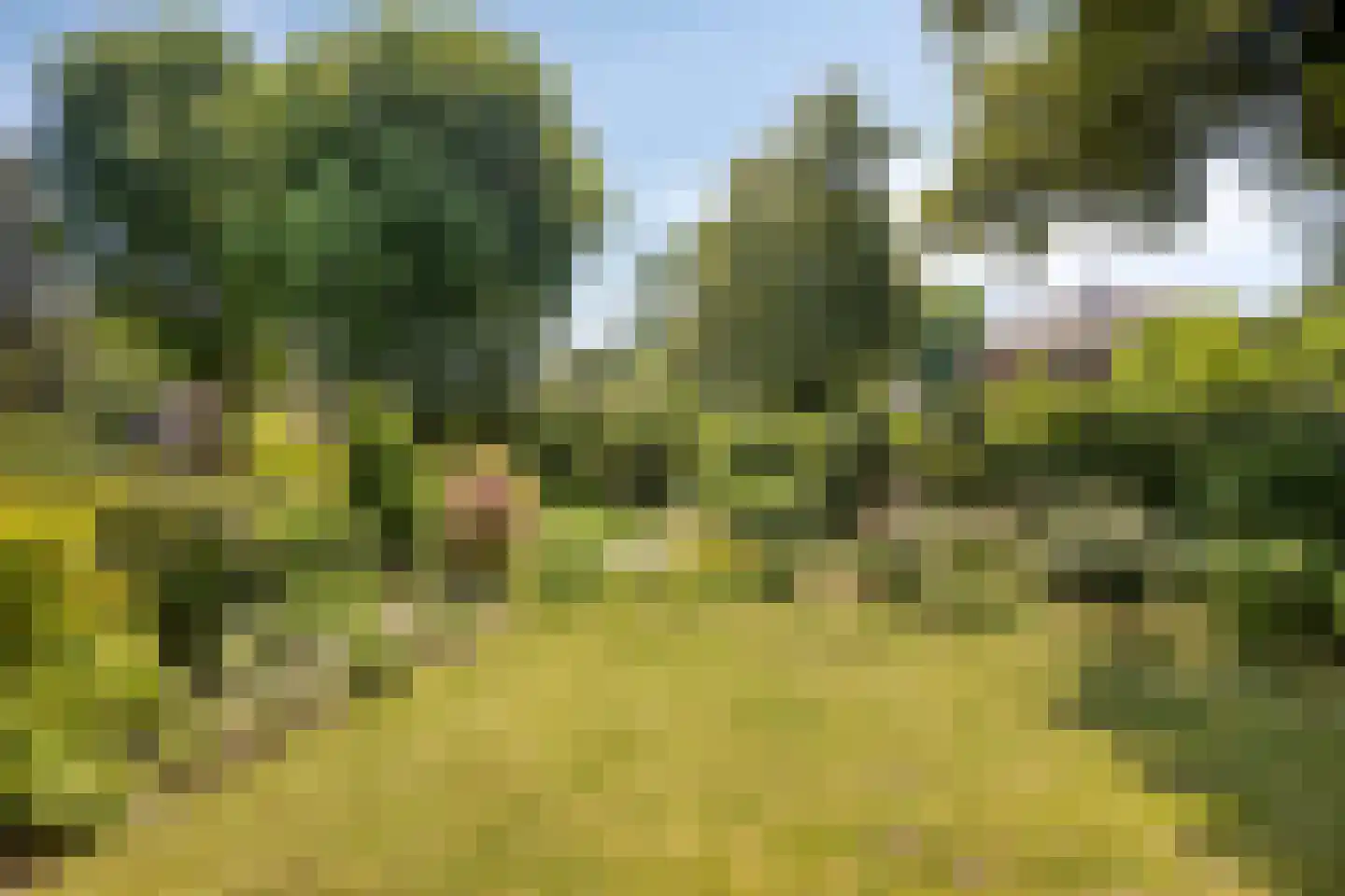 Tromplaan 2 Velp thumbnail 13