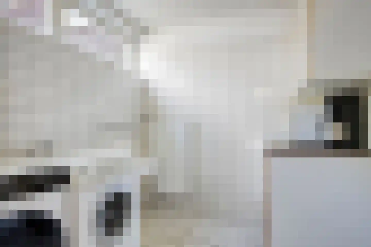 Tromplaan 2 Velp thumbnail 13