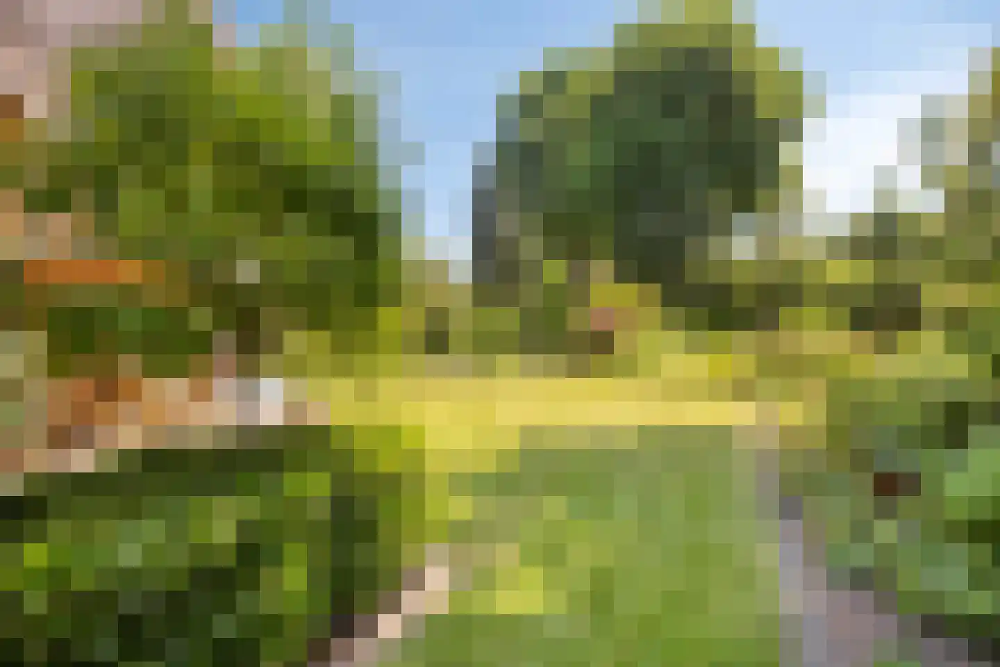 Tromplaan 2 Velp thumbnail 14