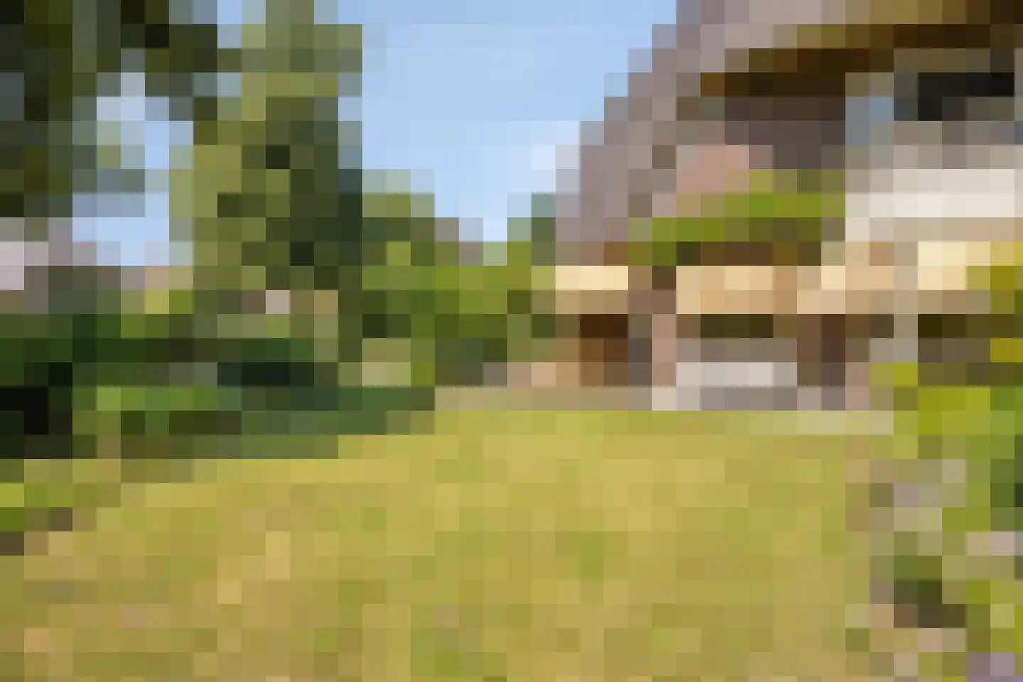 Tromplaan 2 Velp thumbnail 15