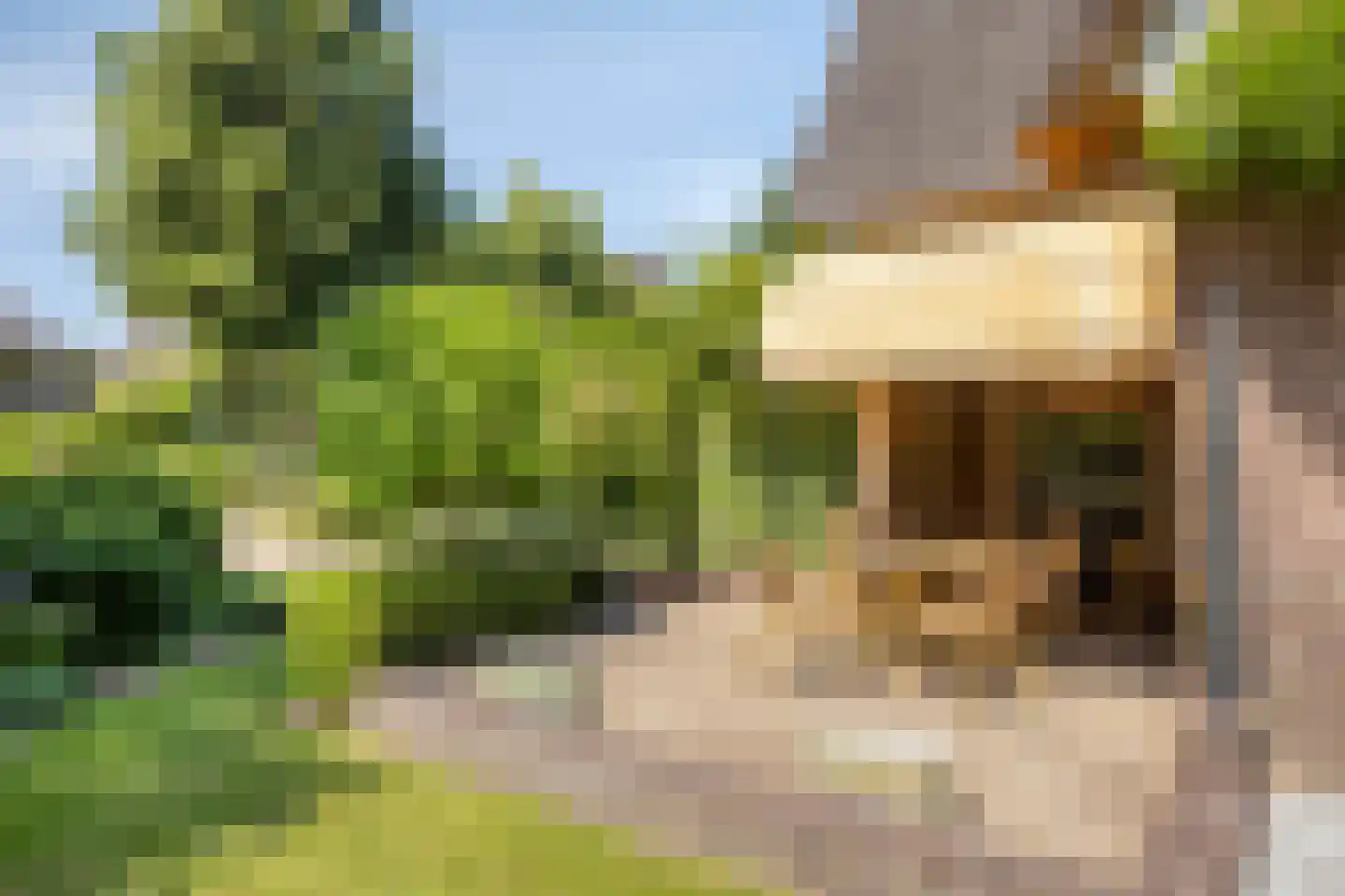 Tromplaan 2 Velp thumbnail 16