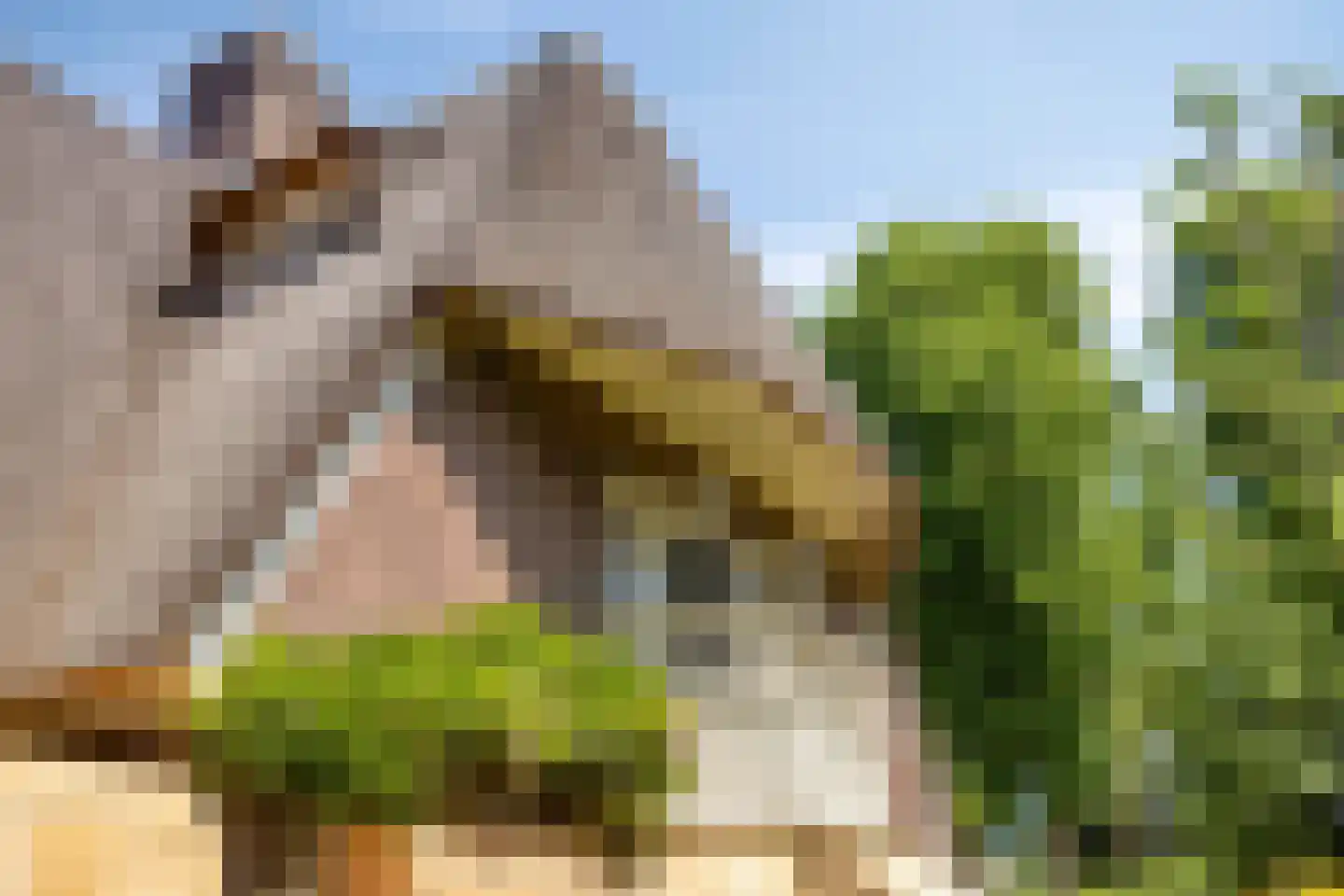 Tromplaan 2 Velp thumbnail 17