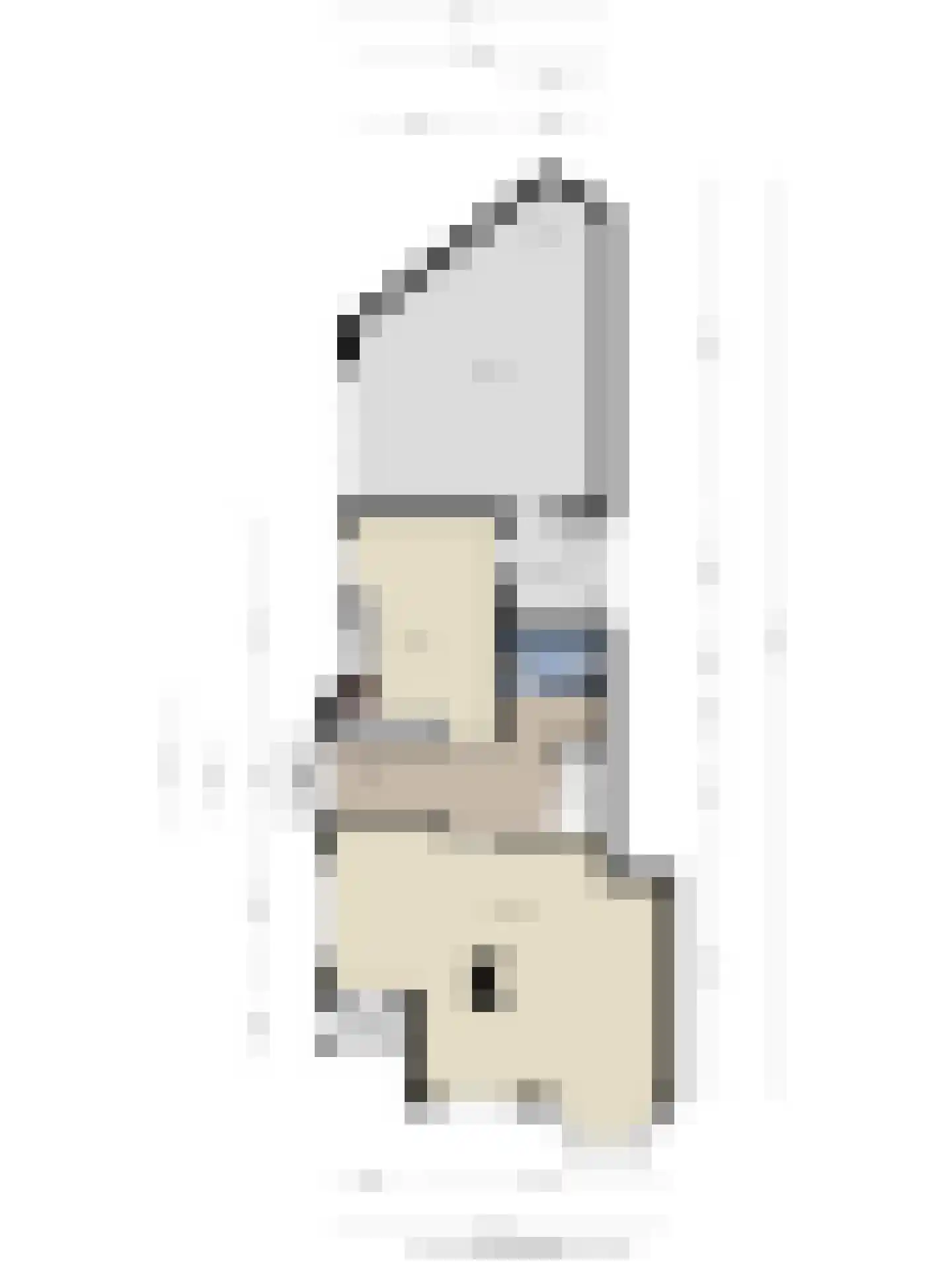 Tromplaan 2 Velp thumbnail 21