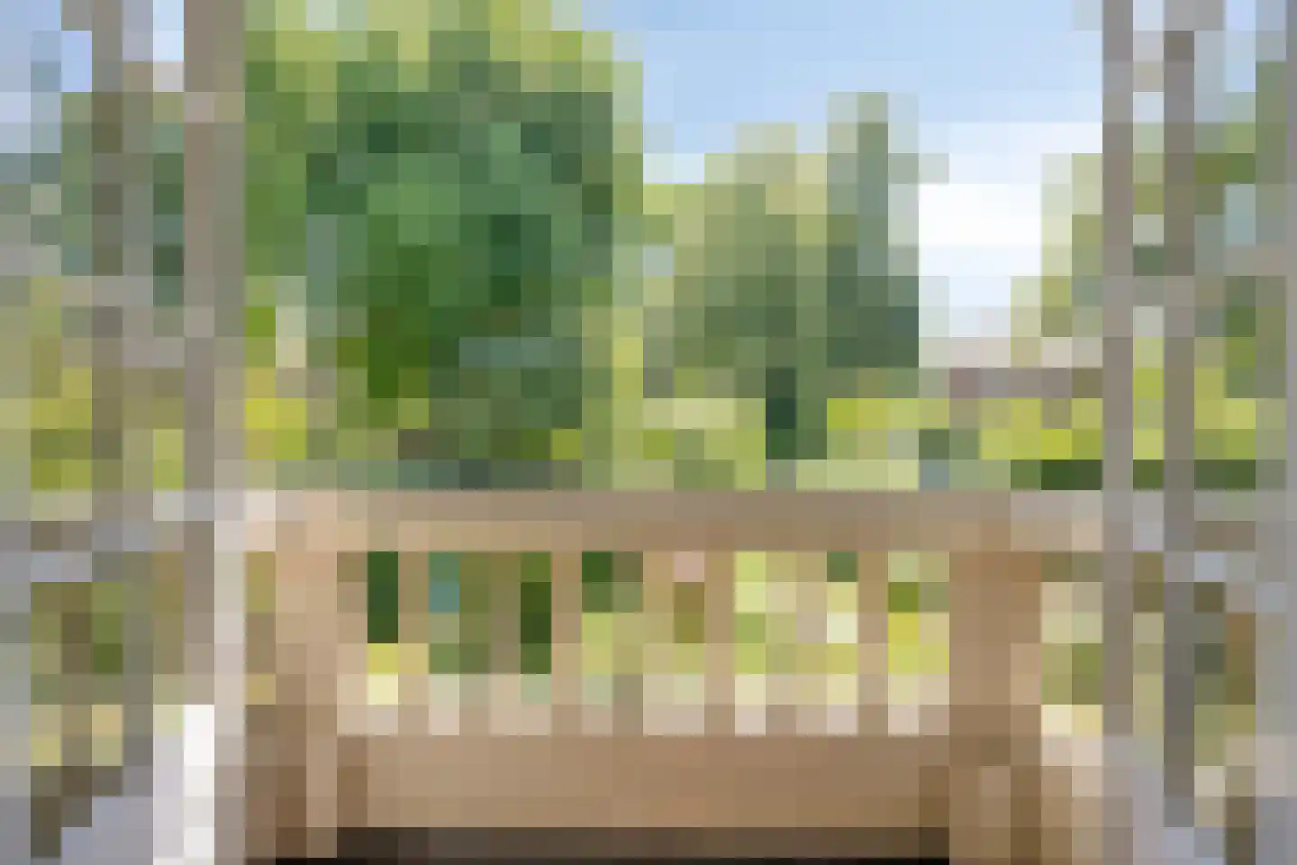 Tromplaan 2 Velp thumbnail 25