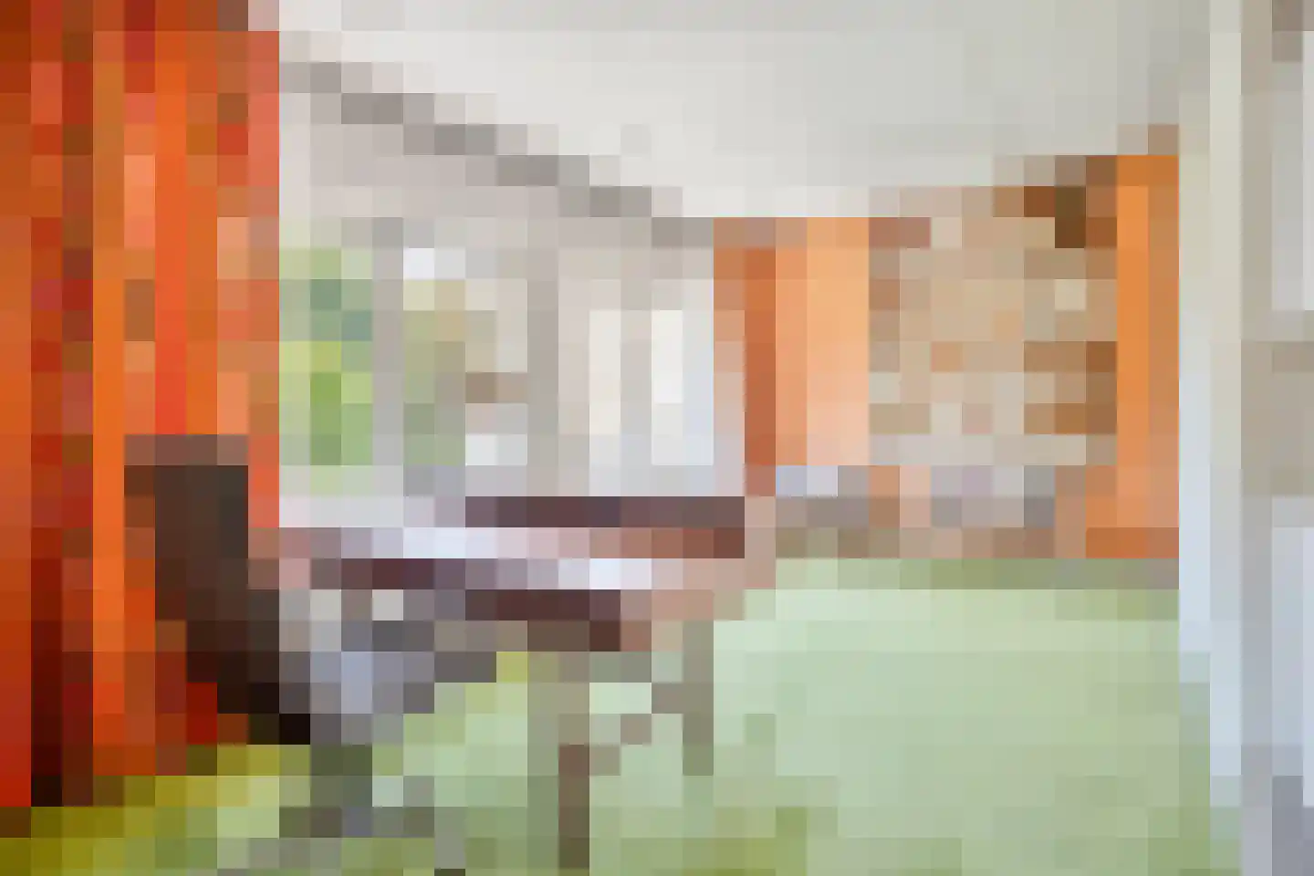 Tromplaan 2 Velp thumbnail 27
