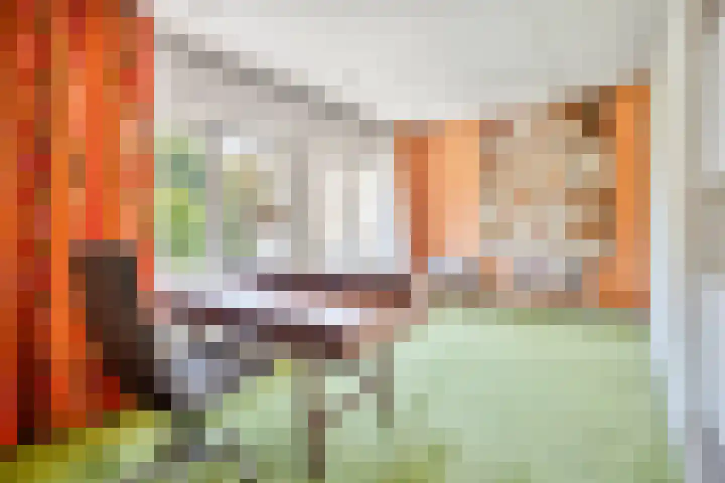 Tromplaan 2 Velp thumbnail 30