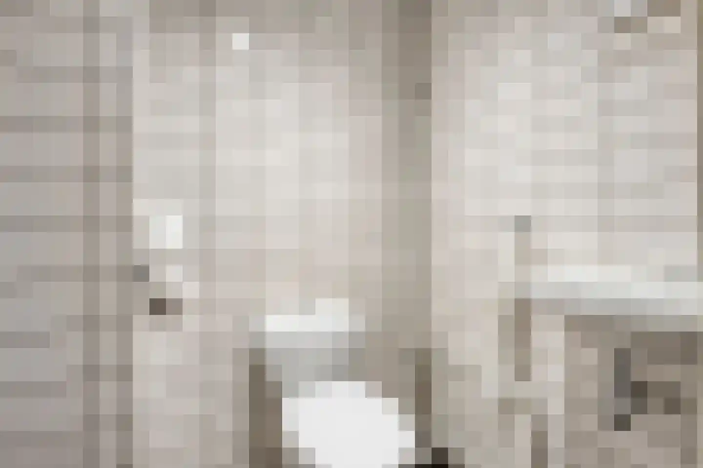 Tromplaan 2 Velp thumbnail 30