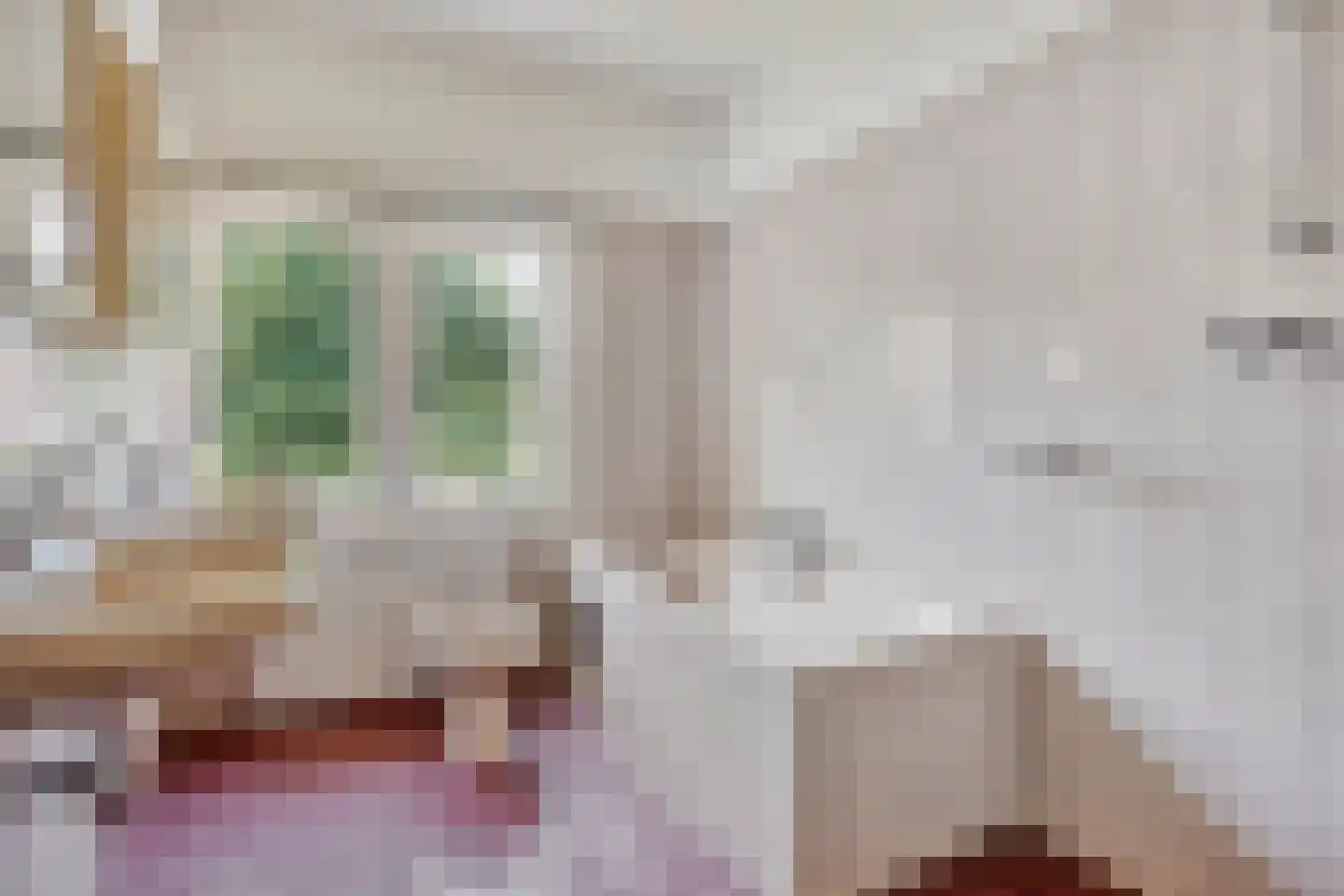 Tromplaan 2 Velp thumbnail 31