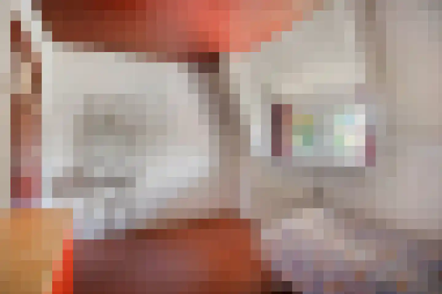 Tromplaan 2 Velp thumbnail 35