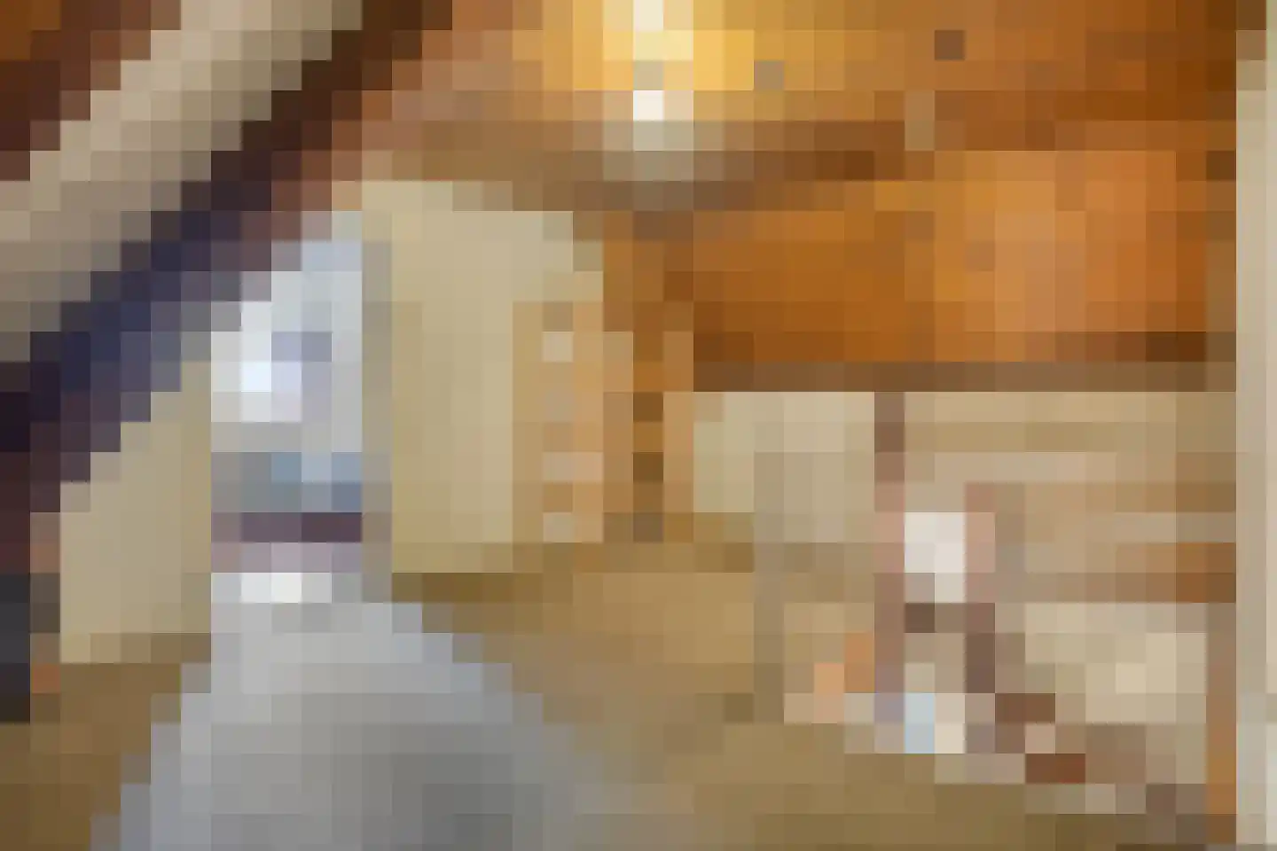 Tromplaan 2 Velp thumbnail 37